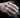 El Camino Del Wing Chun
