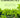 Sustainable Communities. Public Policies for Good Living.