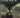 Tren a jasenovac