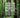 Silvicultura y manejo de bosques nativos: ecología aplicada para la conservación de ecosistemas forestales