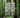 Silvicultura y manejo de bosques nativos: ecología aplicada para la conservación de ecosistemas forestales