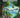 Ecoaventuras