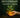 Magical Phytotherapy