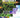 Biology: Fundamental Principles