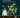 Disaster Ecology and Environment