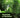 Taxonomy of Bamboos