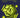 Viral Infections and Cell Biology Vol 1