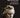 Beethoven