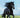 Black Beauty