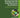 Lecture Notes on Environmental and Resource Economics