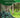 Agroforestry: A Sustainable Land Use System