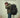 LONG JOURNEY SHORT BACKPACK: Use motivation to live worry-free