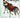 Discovering the Okapi