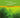 Public Engagement on Genetically Modified Organisms
