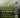 Renewable Fuel Standard
