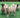Changes in the Sheep Industry in the United States