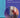 CNS Clinical Trials