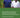 Empowering Women and Strengthening Health Systems and Services Through Investing in Nursing and Midwifery Enterprise