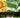 A Review of the Citrus Greening Research and Development Efforts Supported by the Citrus Research and Development Foundation