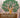 Building and Measuring Community Resilience