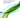 Understanding the Role of the Immune System in Improving Tissue Regeneration