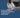 The Use of Telehealth for Disability Evaluations in Medicine and Allied Health