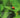 Operationalizing Sustainable Development to Benefit People and the Planet