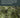 Evaluation of Manhattan Project Records for Veteran Health and Exposure Assessments