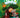 Ecoaventuras