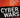 Cyber Wars