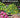 Learning and Talent Development