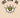 Ojos Color Sol