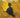 The Yellow Wallpaper