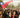 Dolencias históricas de la memoria ciudadana (Chile 1810-2010)