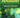 Study Guide to Psychiatry: A Companion to The American Psychiatric Association Publishing Textbook of Psychiatry, Seventh Edition