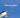 Private Pilot License