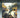 Quixotic Frescoes