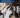 Montaje de elementos y equipos de instalaciones eléctricas de baja tensión en edificios. ELES0208 - Operaciones auxiliares de montaje de instalaciones electrotécnicas y de telecomunicaciones en edificios