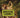 Medicine Show