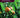 Recolección, almacenamiento y transporte de flores y hortalizas. AGAH0108 - Horticultura y floricultura