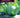 El suelo de cultivo y las condiciones climáticas. AGAH0108 - Horticultura y floricultura