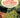 Cocina vegetariana rica y sabrosa