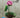 Great Song byPiano
