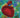 El corazón y su magia