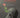 Me contaron un cuento y... desperté