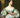 Ada Lovelace