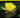 Meditación Ocultista