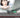 Powerpoint XP Incluye Contenido Multimedia