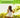 Relatos de gratuidad