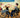 Acompañamiento de personas con discapacidad en actividades programadas. SSCE0111 - Promoción e intervención socioeducativa con personas con discapacidad